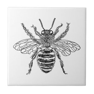 Queen Bee Tile