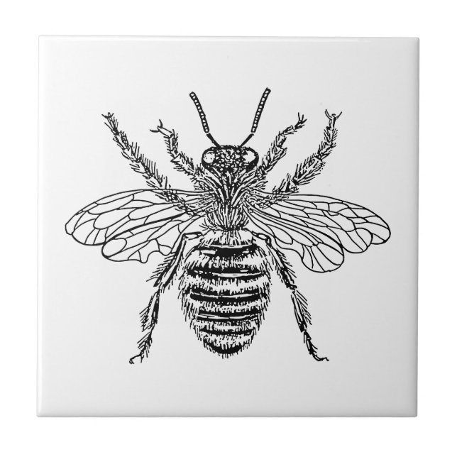Queen Bee Tile (Front)