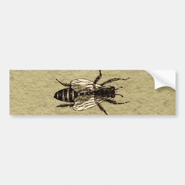 Queen Bee Wildlife Flying Bug Insect Bumper Sticker (Front)