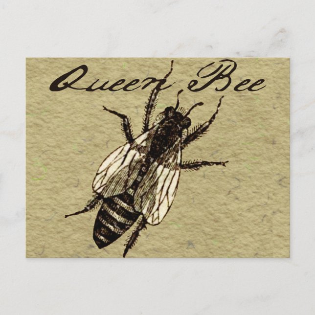 Queen Bee Wildlife Flying Bug Insect Postcard (Front)