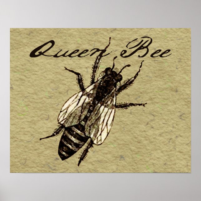 Queen Bee Wildlife Flying Bug Insect Poster (Front)