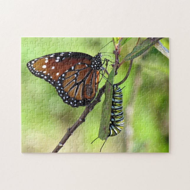 Queen Butterfly and Monarch Caterpillar Jigsaw Puzzle (Horizontal)