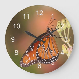 Queen butterfly on a branch large clock