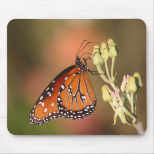 Queen butterfly on a branch mouse mat