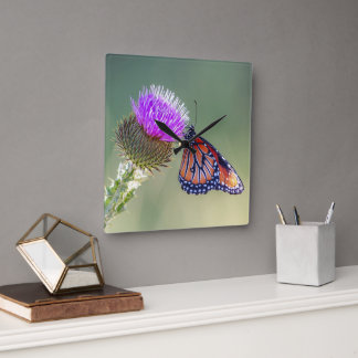 Queen Butterfly on a Purple Blessed Milkthistle Square Wall Clock