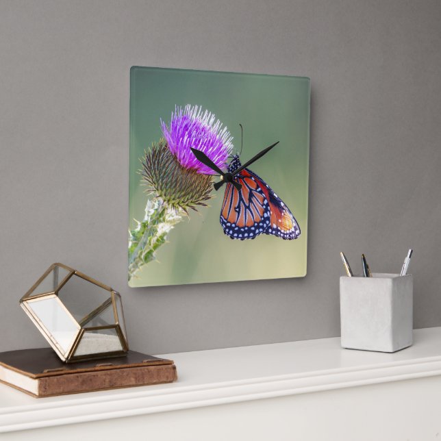 Queen Butterfly on a Purple Blessed Milkthistle Square Wall Clock (Office)