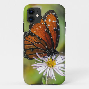 Queen butterfly on flower iPhone 11 case
