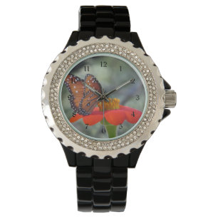 Queen Butterfly on Mexican Sunflower Watch