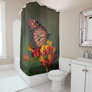 Queen Butterfly  on tropical milkweed Shower Curtain
