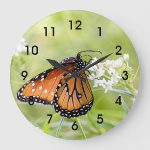Queen Butterfly Sunning on Milkweed Large Clock