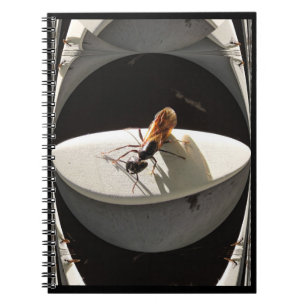 Queen Carpenter Ant ~ Notebook