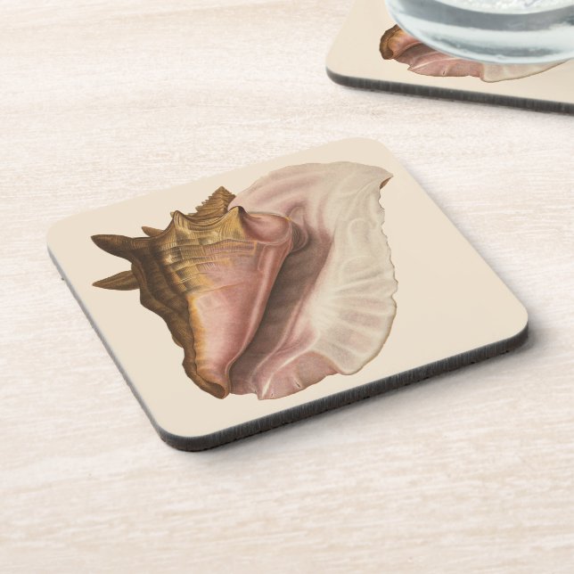 Queen Conch Seashell Shell, Vintage Marine Life Coaster (Left Side)