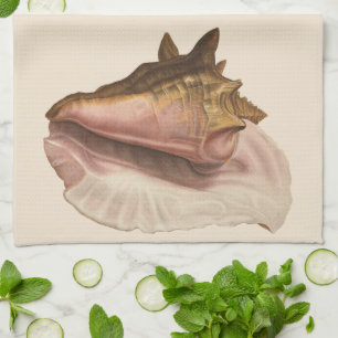 Queen Conch Seashell Shell, Vintage Marine Life Tea Towel
