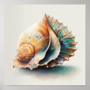 Queen conch shell in watercolor poster