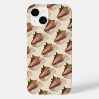 Queen Conch Shell Seashell, Vintage Marine Life