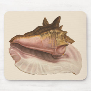 Queen Conch Shell Seashell, Vintage Marine Life Mouse Mat