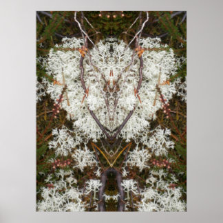 Queen Elizabeth 1st Lichen Poster