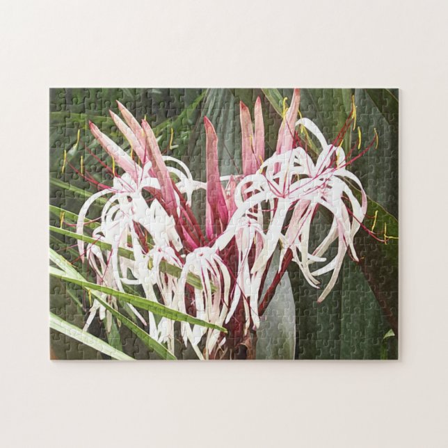 Queen Emma Crinum Lilies Jigsaw Puzzle (Horizontal)