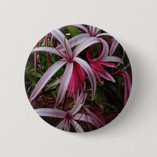 Queen Emma's Purple Crinum Lily 6 Cm Round Badge