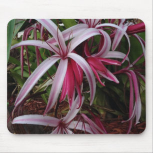 Queen Emma's Purple Crinum Lily Mouse Mat