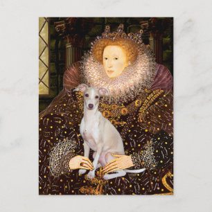 Queen - Italian Greyhound 7 Postcard