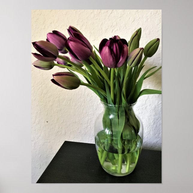 Queen of Night Tulips Poster (Front)