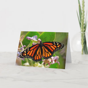 Queen of Orange Card