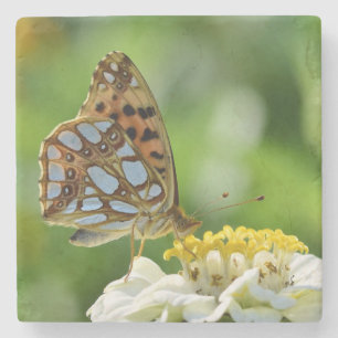 Queen of Spain Butterfly on Yellow & White Flower Stone Coaster