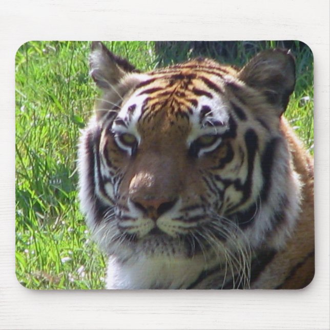 Queen of the Jungle Mouse Mat (Front)