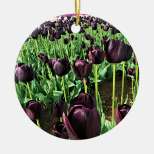 Queen of the Night Tulips, Oregon Ceramic Tree Decoration