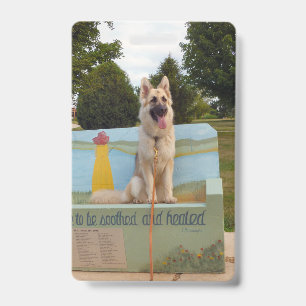 Queen of the park ID badge