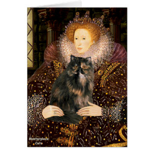 Queen - Persian Calico cat