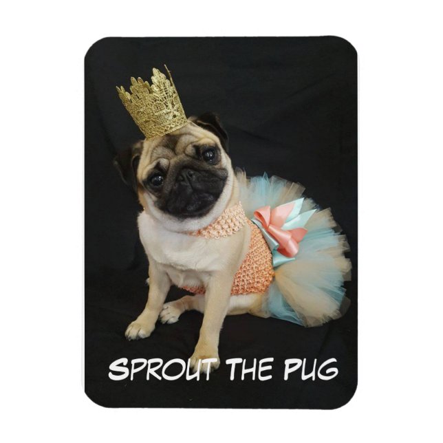 Queen Photo Magnet (Vertical)