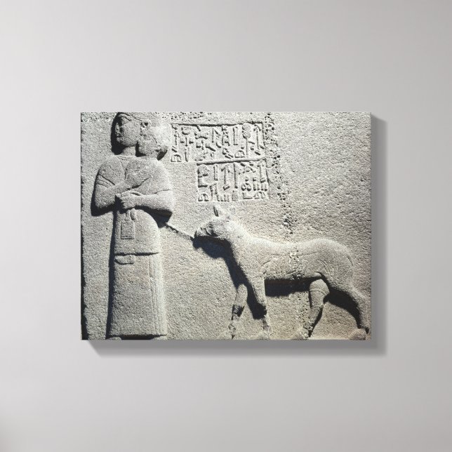 Queen Tuwarissa, wife of King Araras Canvas Print (Front)