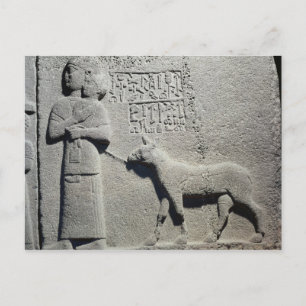 Queen Tuwarissa, wife of King Araras Postcard