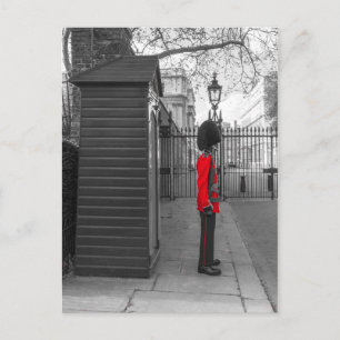 Queen's Guard standing guard at Clarence House Postcard