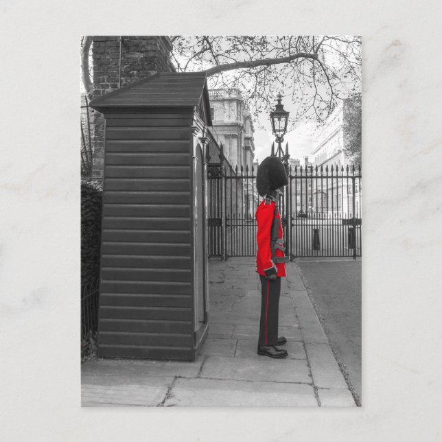 Queen's Guard standing guard at Clarence House Postcard (Front)