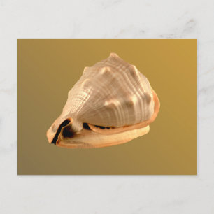 Queens Helmet Postcard