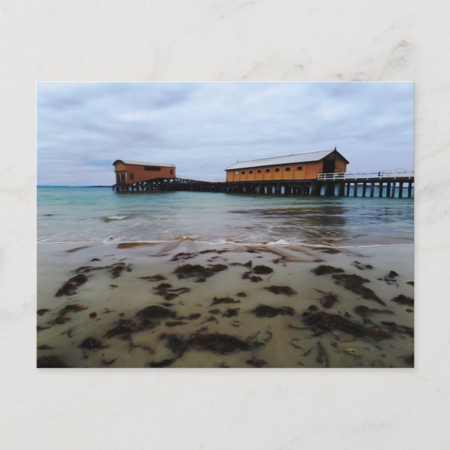 Queenscliff Dreaming Postcard (Front)