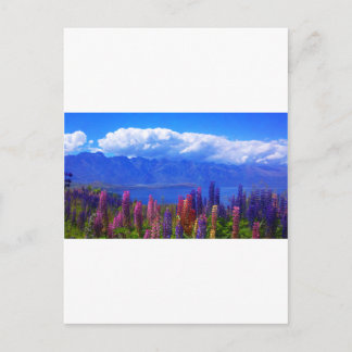 Queenstown New Zealand lupine over Lake Wakatipu Postcard