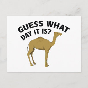 Quess What Day It Is? Postcard