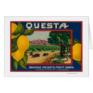 Questa Lemon LabelCorona, CA
