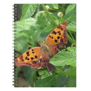 Question Mark Butterfly on Lantana Notebook