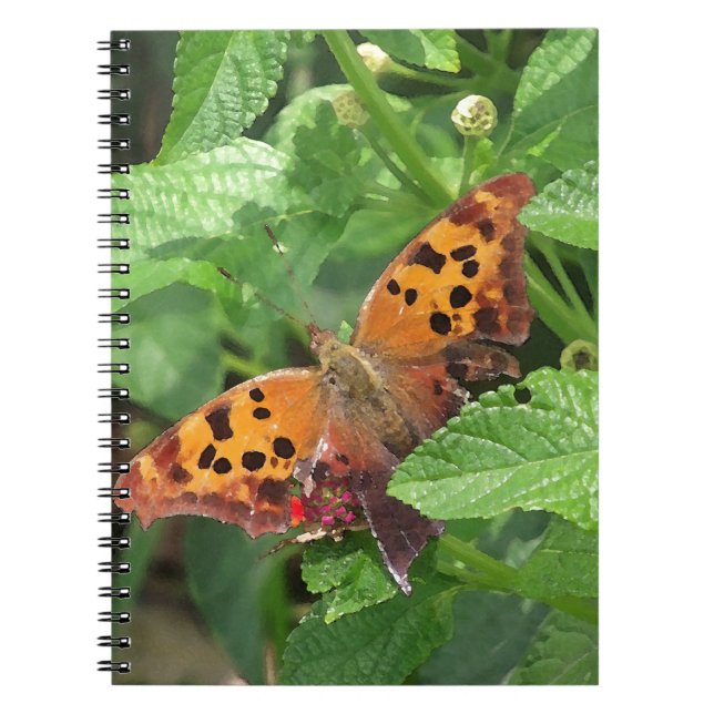 Question Mark Butterfly on Lantana Notebook (Front)