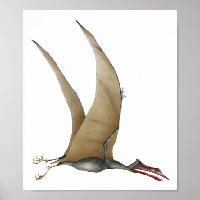 Quetzalcoatlus Poster (Front)