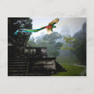 Quetzel in Tikal Postcard