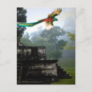 Quetzel in Tikal Postcard