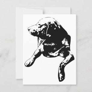 Quick Hello, Head-Turn Lab Postcard