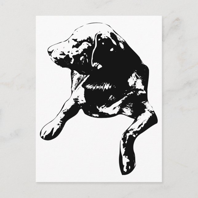 Quick Hello, Head-Turn Lab Postcard (Front)