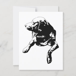 Quick Hello, Side-Turn Lab Postcard